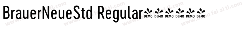 BrauerNeueStd Regular字体转换